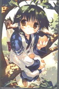 BUY NEW utawareru mono - 132506 Premium Anime Print Poster